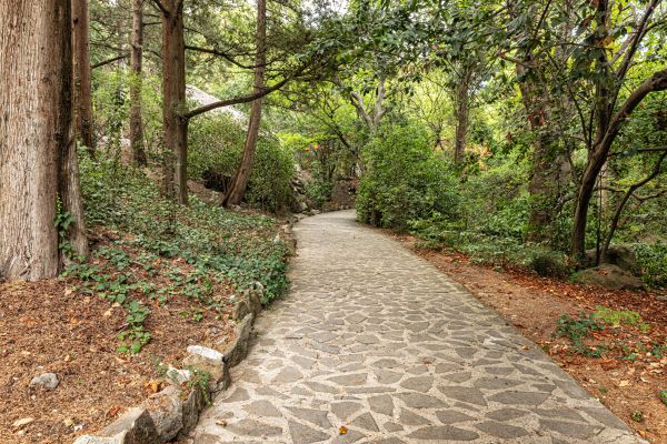 Stone Walkway Repair in Las Vegas
