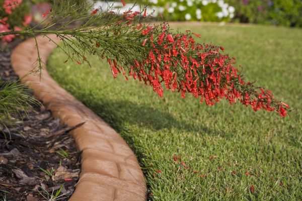 Brick Edging in Las Vegas