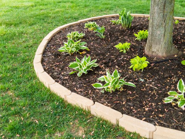 Stone Border Installation in Las Vegas