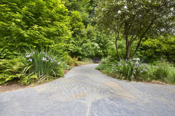 Stone Hardscape Service in Las Vegas